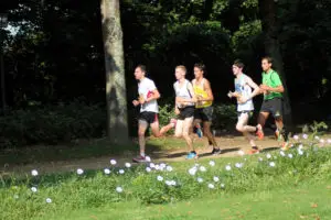 Trail parc